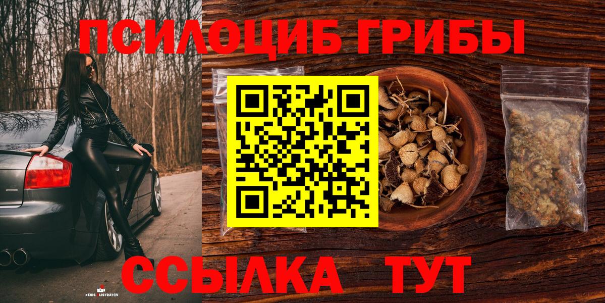 Псилоцибиновые грибы мицелий Зима