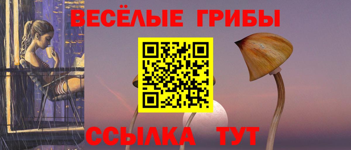 Зима  Галлюциногенные грибы мухоморы  Вход с VPN 