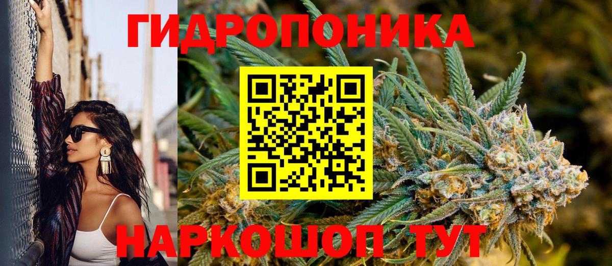 Каннабис SATIVA & INDICA  Бошки марихуана семена  Каннабис MAZAR  Зима  Шишки марихуана планчик  Вход с VPN 